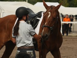 IMG_0800_web